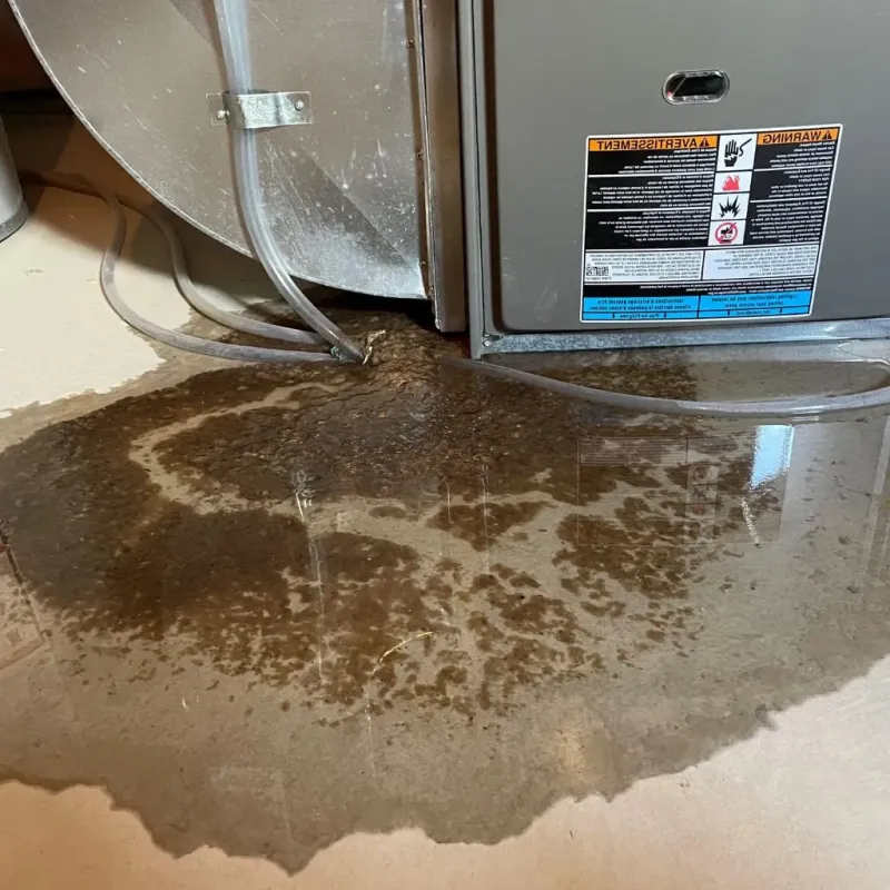 Pipe Burst and Leak Restoration in Pataskala, OH